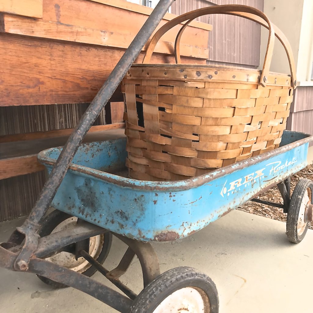 The Story of the Vintage Rex Rocket Wagon